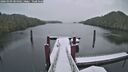 ./images/calvert/dock/20260309/dock20260309_084501M.jpg