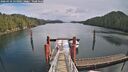 ./images/calvert/dock/20260310/dock20260310_131002M.jpg