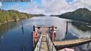 ./images/calvert/dock/20260313/dock20260313_133501M.jpg