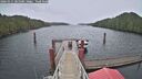 ./images/calvert/dock/20260315/dock20260315_085001M.jpg