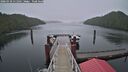 ./images/calvert/dock/20260318/dock20260318_111501M.jpg