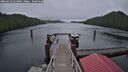 ./images/calvert/dock/20260318/dock20260318_123001M.jpg