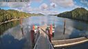 ./images/calvert/dock/20260327/dock20260327_174501M.jpg