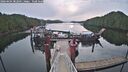 ./images/calvert/dock/20260404/dock20260404_082001M.jpg