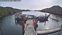 ./images/calvert/dock/20260404/dock20260404_101001M.jpg