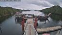 ./images/calvert/dock/20260404/dock20260404_115501M.jpg