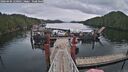./images/calvert/dock/20260404/dock20260404_120001M.jpg