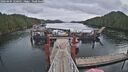 ./images/calvert/dock/20260404/dock20260404_120501M.jpg