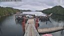 ./images/calvert/dock/20260404/dock20260404_121501M.jpg