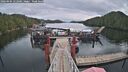 ./images/calvert/dock/20260404/dock20260404_122501M.jpg