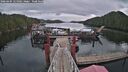 ./images/calvert/dock/20260404/dock20260404_125002M.jpg