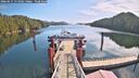 ./images/calvert/dock/20260411/dock20260411_114501M.jpg