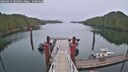 ./images/calvert/dock/20260413/dock20260413_184001M.jpg