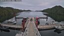 ./images/calvert/dock/20260418/dock20260418_153001M.jpg