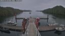./images/calvert/dock/20260418/dock20260418_164501M.jpg