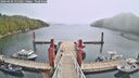 ./images/calvert/dock/20260420/dock20260420_125501M.jpg