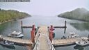 ./images/calvert/dock/20260420/dock20260420_131001M.jpg