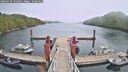 ./images/calvert/dock/20260420/dock20260420_132501M.jpg