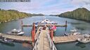 ./images/calvert/dock/20260420/dock20260420_143002M.jpg