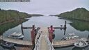 ./images/calvert/dock/20260421/dock20260421_082001M.jpg