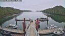 ./images/calvert/dock/20260421/dock20260421_084001M.jpg