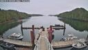 ./images/calvert/dock/20260421/dock20260421_084501M.jpg