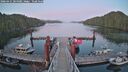 ./images/calvert/dock/20260421/dock20260421_204001M.jpg