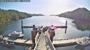 ./images/calvert/dock/20260423/dock20260423_094001M.jpg