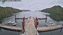 ./images/calvert/dock/20260427/dock20260427_080501M.jpg