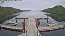 ./images/calvert/dock/20260427/dock20260427_085501M.jpg