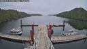 ./images/calvert/dock/20260427/dock20260427_125501M.jpg