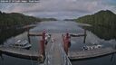 ./images/calvert/dock/20260427/dock20260427_195501M.jpg