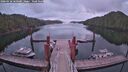 ./images/calvert/dock/20260428/dock20260428_060501M.jpg