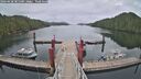 ./images/calvert/dock/20260428/dock20260428_085501M.jpg