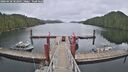 ./images/calvert/dock/20260428/dock20260428_102001M.jpg
