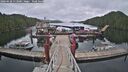 ./images/calvert/dock/20260428/dock20260428_113001M.jpg