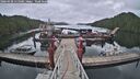 ./images/calvert/dock/20260428/dock20260428_115001M.jpg
