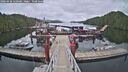 ./images/calvert/dock/20260428/dock20260428_120501M.jpg