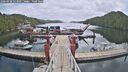 ./images/calvert/dock/20260428/dock20260428_123001M.jpg