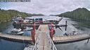 ./images/calvert/dock/20260428/dock20260428_125501M.jpg
