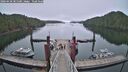 ./images/calvert/dock/20260430/dock20260430_085501M.jpg