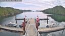 ./images/calvert/dock/20260430/dock20260430_103501M.jpg