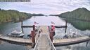 ./images/calvert/dock/20260430/dock20260430_104001M.jpg