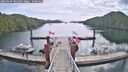 ./images/calvert/dock/20260430/dock20260430_104501M.jpg