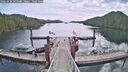 ./images/calvert/dock/20260430/dock20260430_105001M.jpg
