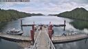 ./images/calvert/dock/20260430/dock20260430_113501M.jpg