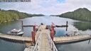 ./images/calvert/dock/20260430/dock20260430_122002M.jpg