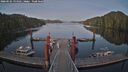 ./images/calvert/dock/20260502/dock20260502_194501M.jpg