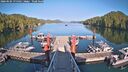 ./images/calvert/dock/20260504/dock20260504_175501M.jpg