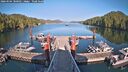 ./images/calvert/dock/20260504/dock20260504_180502M.jpg